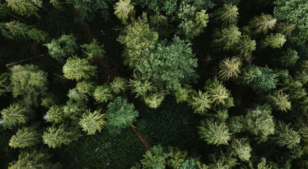 Novelis Celebrates Major Milestone in Green Investments