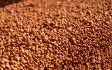 Australian Aluminium Council renews call for inclusion of Bauxite, Alumina, and Aluminium on Critical Minerals listing