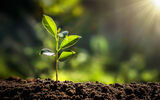 Novelis wins sustainability award