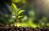 Qatalum reports sustainability milestones