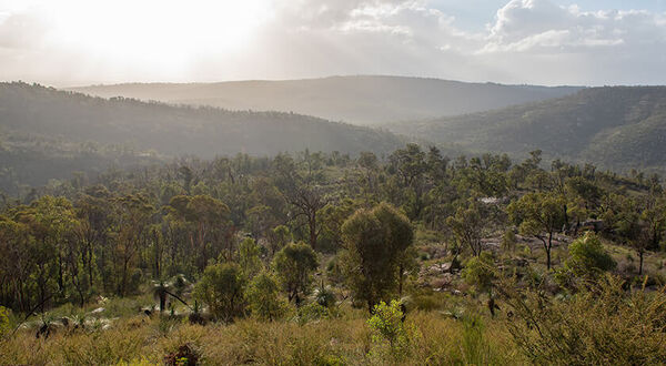 Alcoa partly halts Perth Hills exploration drilling plans