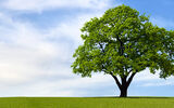 RUSAL: Sustainable efforts