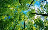 RUSAL in first place in greenhouse gas competition