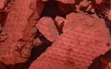 Alunorte and UFPA sign agreement for sustainable research with bauxite residue