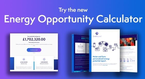 GridBeyond Releases Free Tool to Calculate Value of Energy Flexibility in I&C